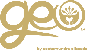 65fb9d41536ff7cb223553f3_geo-logo